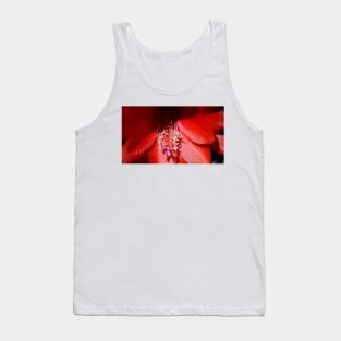 Cacti - Magpie Springs - Adelaide Hills Wine Region - Fleurieu Peninsula - South Australia Tank Top